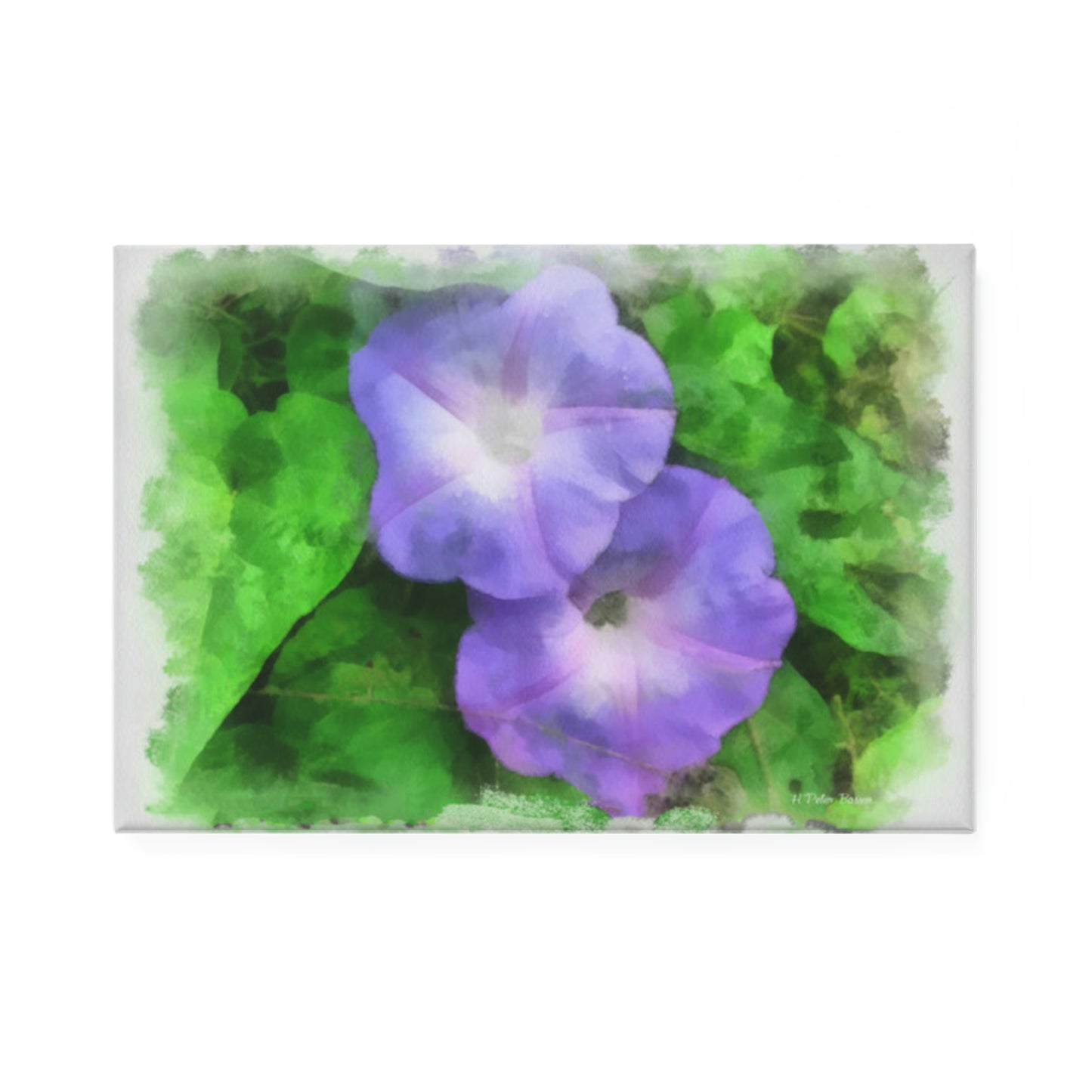 Morning Glory Button Magnet, Rectangle (1 & 10 pcs)