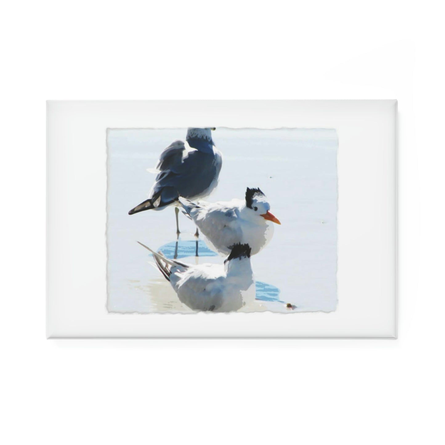 Punk Seagulls Button Magnet, Rectangle (1 & 10 pcs)