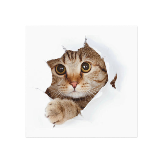 Cat Square Magnet