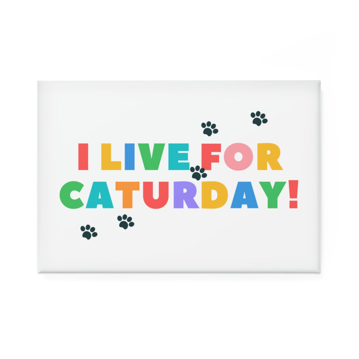 Caturday Button Magnet, Rectangle (1 & 10 pcs)