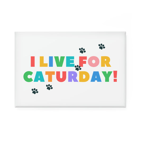 Caturday Button Magnet, Rectangle (1 & 10 pcs)